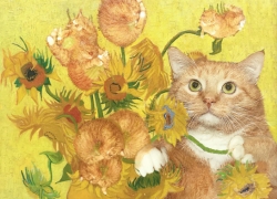 Sunflowers are ginger kittens