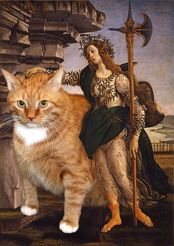 Botticelli, Pallas and the Cat