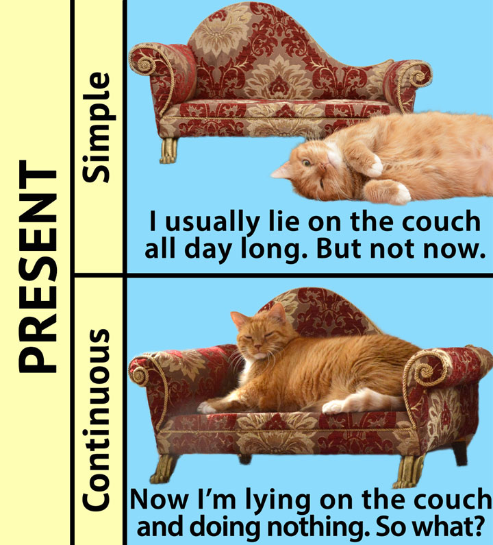 English Grammar by Zarathustra the Cat